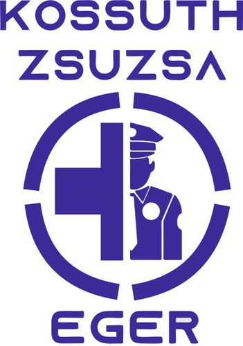 Továbbtanulás és szakmai sikerek a Kossuth Zsuzsanna Technikumban!