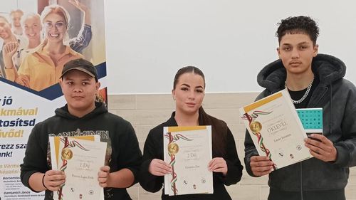 Tollal és ecsettel dicsérem hazámat